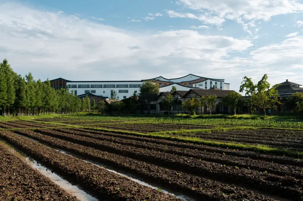 上海逅飞科技工控传感器在自动化产线中的选型与应用要点
