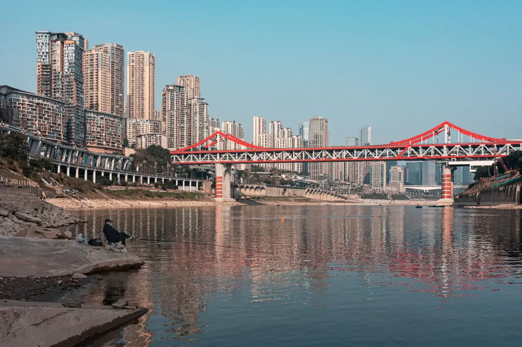 2024自动化配件市场趋势与仪表仪器应用分析