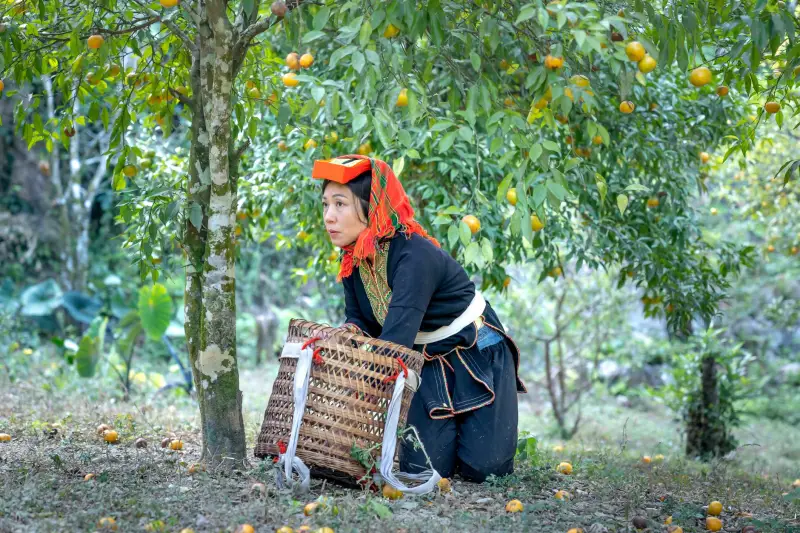 工控产品选型指南：传感器与仪表仪器在自动化产线中的协同应用